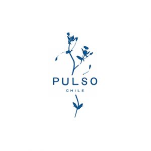PULSO-CHILE-AGROALIMENTOS-LOGO_400-400-CATALOGO